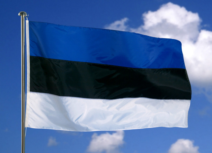 В Эстонии предложили сократить половину госслужащих