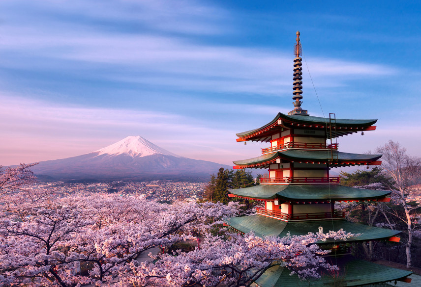 Госслужащим Японии будут рекомендовать брать декретный отпуск