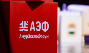 Вопросы бережливого, продуктового и проектного управления обсудят на форуме «АмурЭкспо»