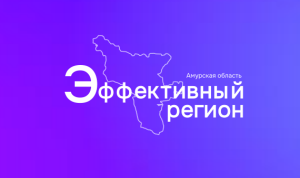 В Приамурье презентовали новые решения для ускорения работы органов власти