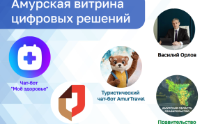 В Амурской области заработала единая цифровая витрина региональных сервисов