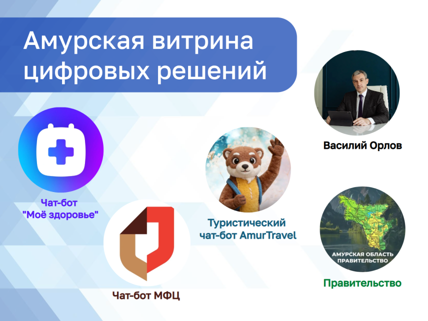 В Амурской области заработала единая цифровая витрина региональных сервисов
