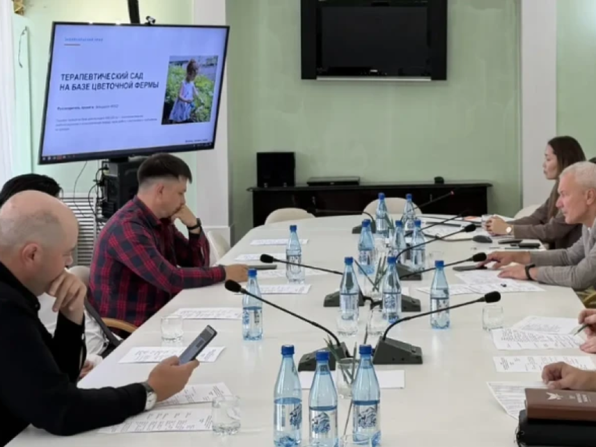 Эксперты отобрали «сильные идеи» для представления Забайкалья на федеральном форуме