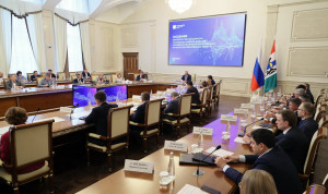 В Новосибирской области внедрены более 20 сценариев применения технологии ИИ в госуправлении
