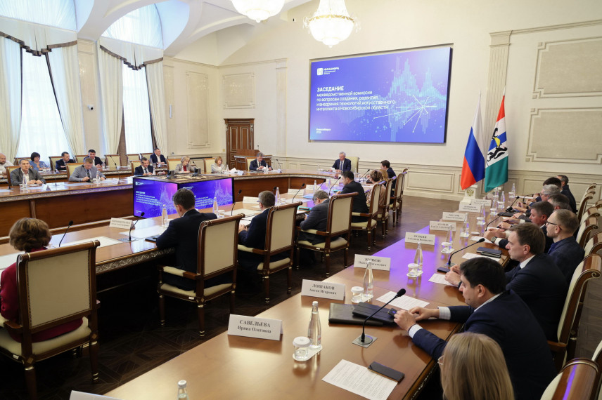 В Новосибирской области внедрены более 20 сценариев применения технологии ИИ в госуправлении