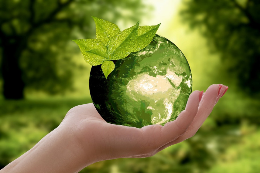 В Саратове создали правительственную рабочую группу по вопросам экологического благополучия