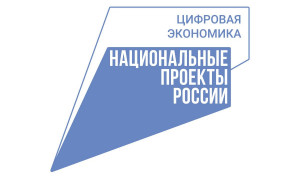 В Вологодской области обсудили перевод социально значимых услуг в электронный вид